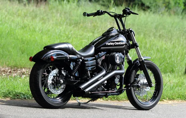 BLACK, Harley-Davidson, CHOPPER, BIKE, HARLEY-DAVIDSON