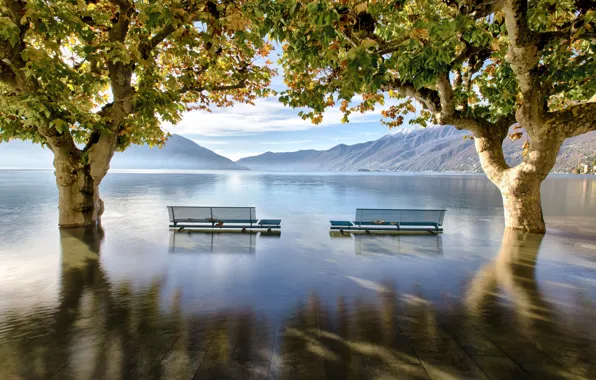 Water, trees, mountains, lake, Switzerland, Alps, flood, benches