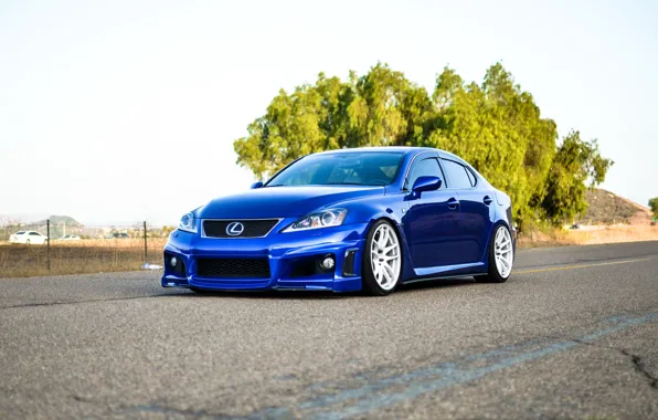 Lexus, blue