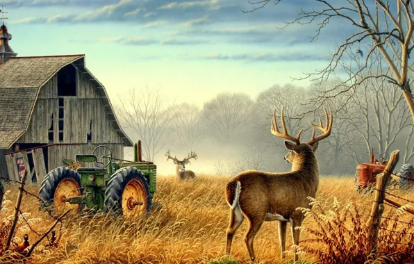 Picture Nature, trees, animals, birds, fog, mood, deer, barn