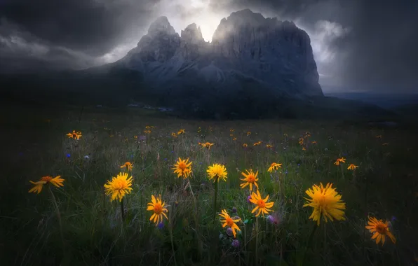 The sky, flowers, mountains, clouds, nature