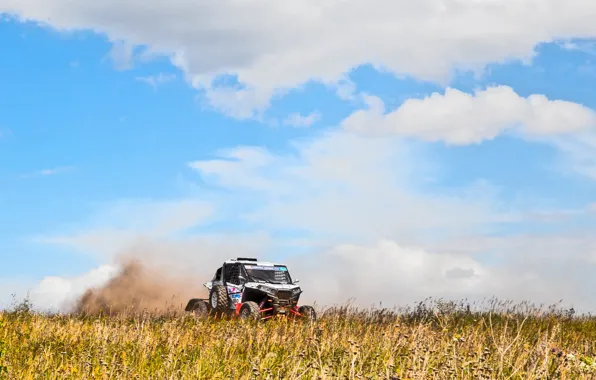 Field, Auto, Sport, Speed, Race, Rally, Rally, Buggy