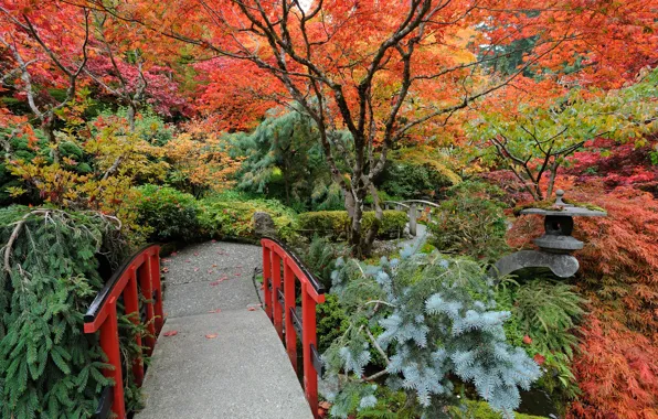 Autumn, trees, Park, Canada, Vancouver, the bridge, the bushes, Butchart Gardens