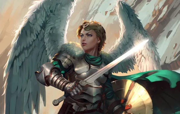 Picture look, fiction, wings, sword, armor, art, shield, Valkyrie