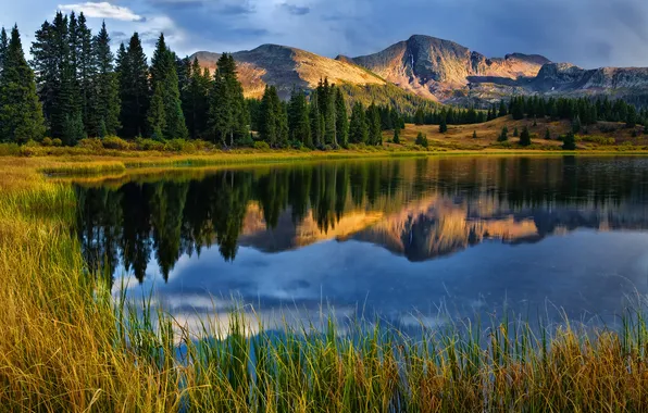 Forest, grass, light, mountains, lake, reflection, blue, shore