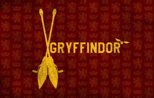 Picture Harry Potter, broom, Harry Potter, Gryffindor, Gryffindor, Snitch