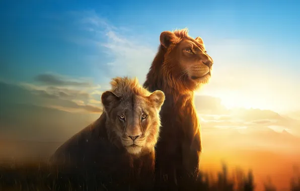 Nature, cartoon, lions, poster, Mufasa: The Lion King, Mufasa: The Lion King