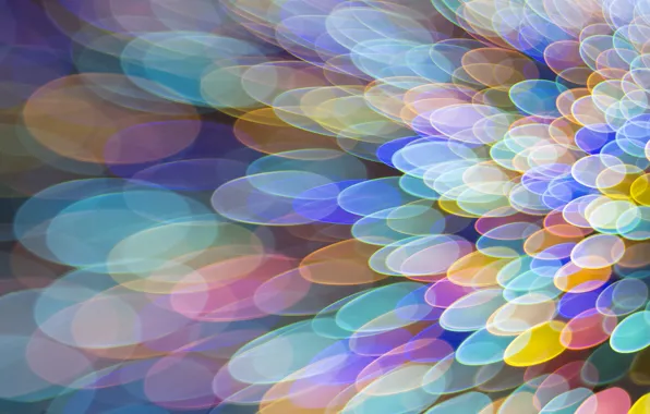 Light, color, Blik, oval