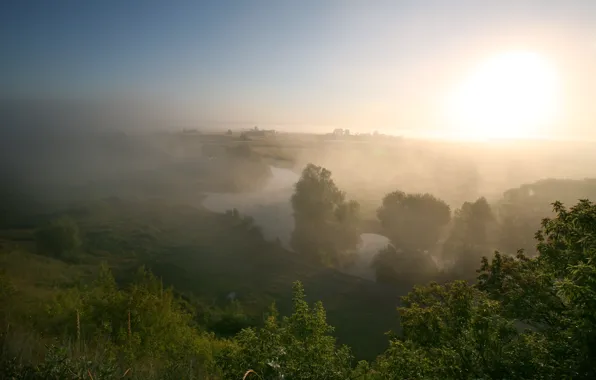 Picture summer, fog, river, morning, meadow