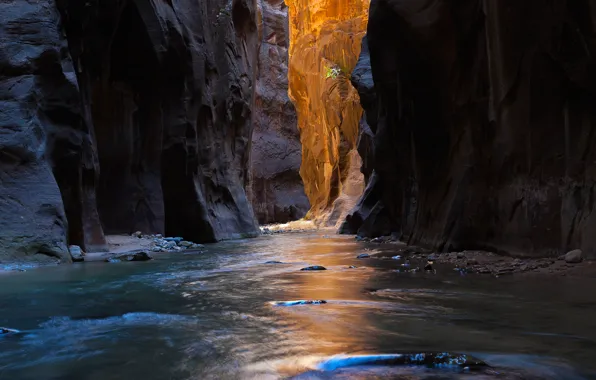 Light, river, stones, canyon, gorge