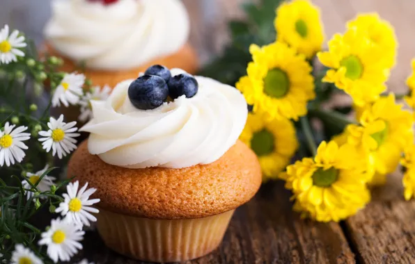 Picture flowers, berries, chamomile, blueberries, sweets, cream, dessert, cakes