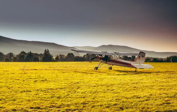 Picture field, forest, grass, mountains, the plane, haze, Sunny