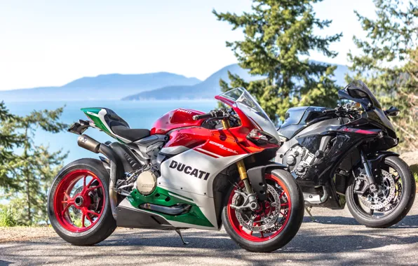 Picture design, pair, motorcycle