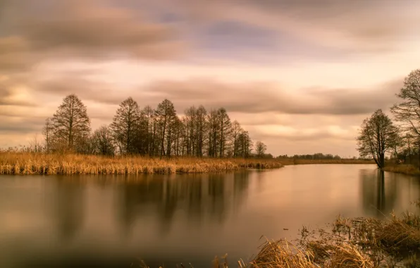 Autumn, nature, lake