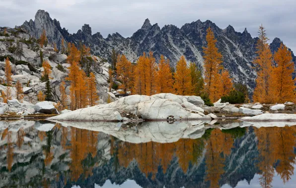 Trees, landscape, lake, rocks, USA, Washington