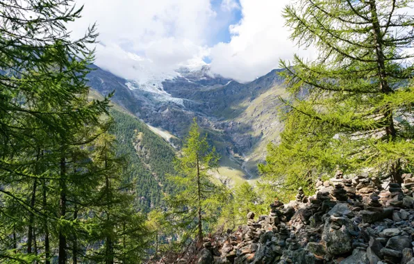 Forest, the sun, clouds, trees, mountains, stones, rocks, Switzerland