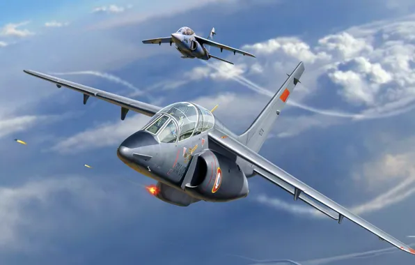 Picture Alpha Jet, training aircraft, light jet attack aircraft of the third generation, Dassault/Dornier