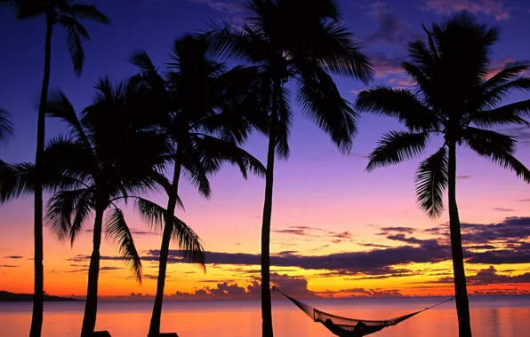 Sunset, Fiji, Palm trees, hammock