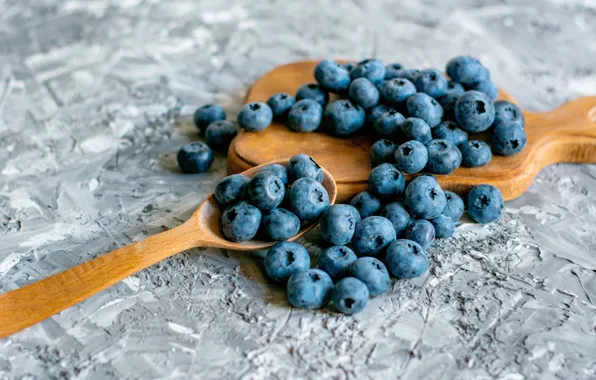 Tree, berry, blueberries, spoon, berries, lahina