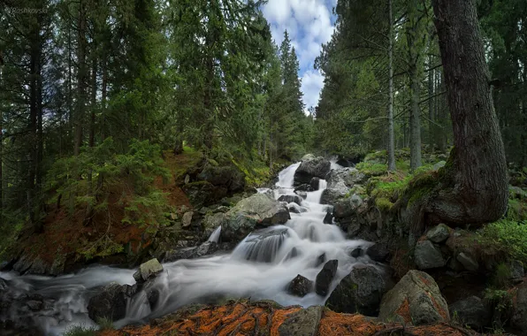 Picture forest, waterfall, Bulgaria, Bulgaria, Rila National Park, Skakavica Waterfall, Rila national Park