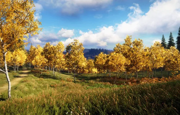 The sky, Clouds, The game, Autumn, Trees, Forest, Art, theHunter™: Call of the Wild