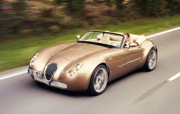 Picture Machine, Car, The Wallpapers, Wiesmann Roadster MF5, Other Brands, Friedhelm and Martin Wismann