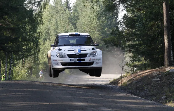 Picture Rally, Skoda, Skoda, WRC2