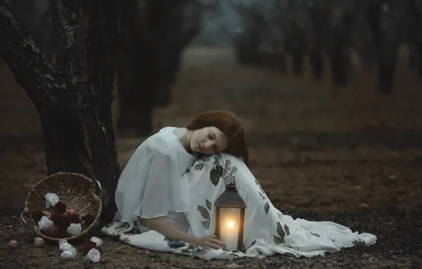 Girl, roses, garden, lantern