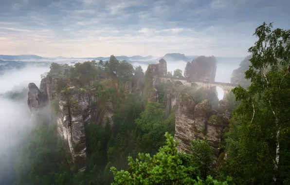 Picture summer, mountains, fog, rocks, spring, morning, Germany, haze