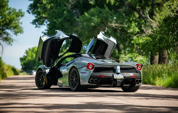 Rear view, Silver, LaFerrari, Doors up