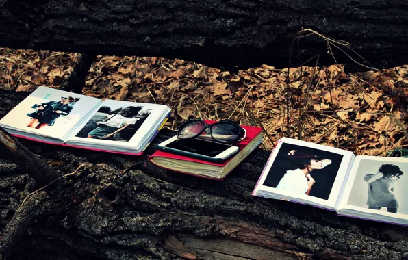 Forest, leaves, tree, foliage, books, glasses, book, phone