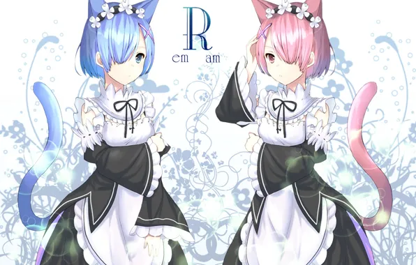 Girls, ears, sisters, ponytail, Ram, Rem, Re: Zero kara hajime chip isek or Seikatsu