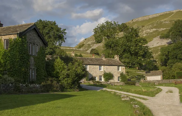 Trees, lawn, England, building, track, village, England, North Yorkshire