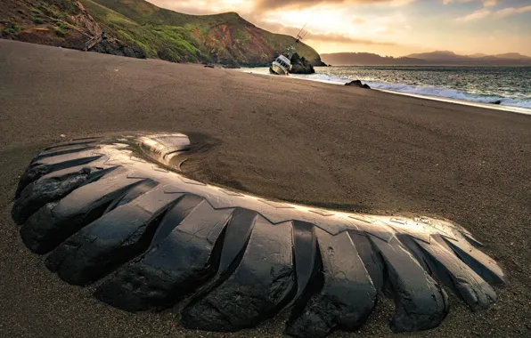 Nature, shore, tire