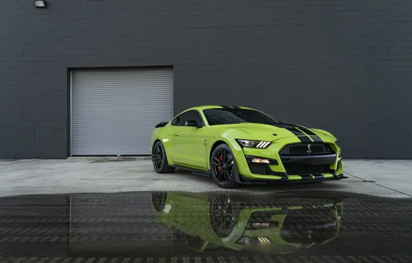 Picture Mustang, Ford, GT500, Wall, Green, Water, Reflection, Sight