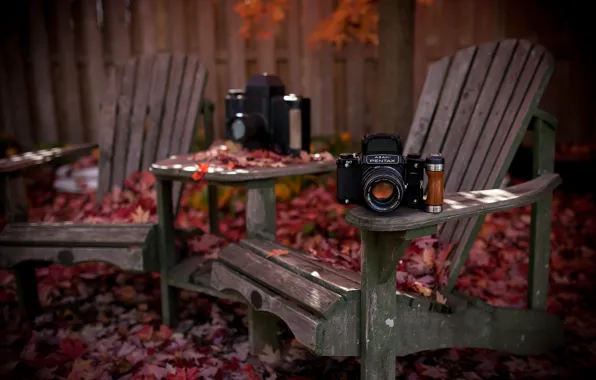 Autumn, camera, chair
