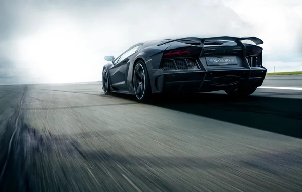 Picture speed, track, Lamborghini, rear view, Aventador, Mansory, Carbonado