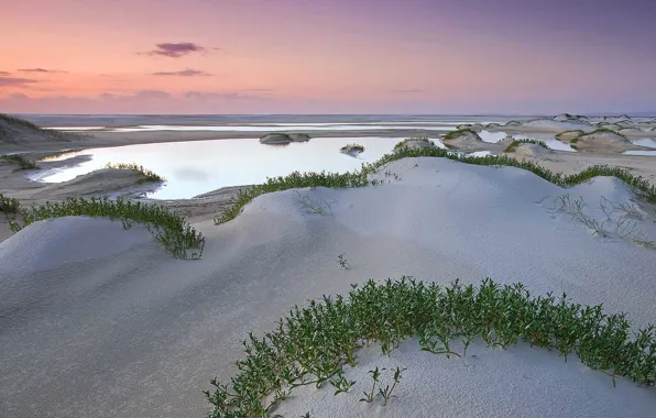 Sand, sea, beach, Australia, QLD, Fraser island
