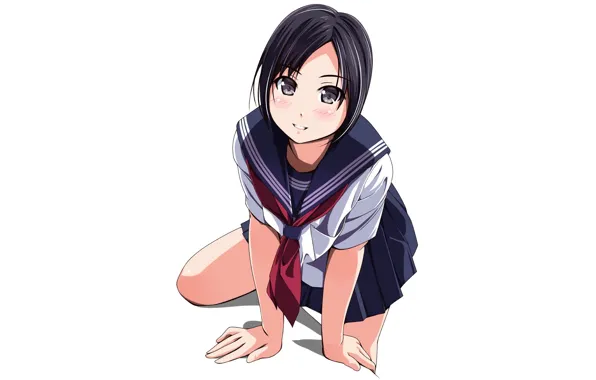 White background, schoolgirl, knees, Japanese, looking at the camera, Matroska