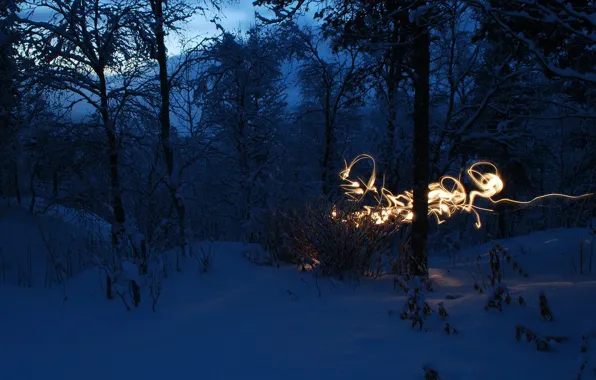 Cold, snow, landscape