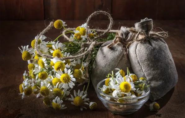 Flowers, table, tea, chamomile, bouquet, rope, still life, welding