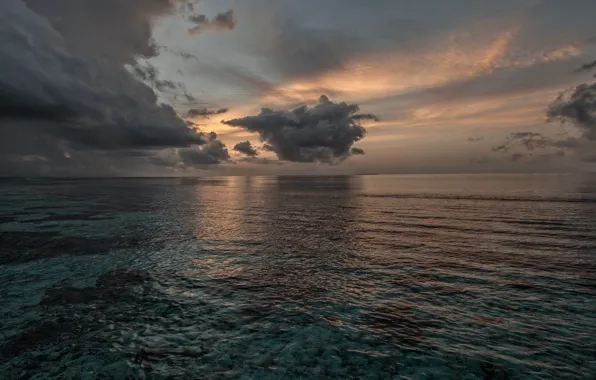 Sunset, clouds, nature, the ocean, the evening, horizon, the vastness