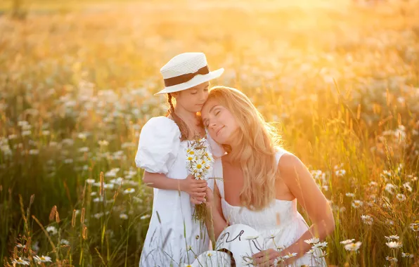 Picture field, summer, flowers, nature, woman, chamomile, girl, hat