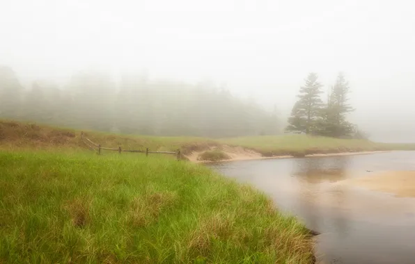 Picture nature, fog, river