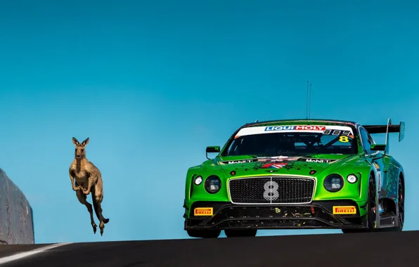 Bentley, Continental, Continental GT, Race, Green, Clear Sky, GT3, Pirelli