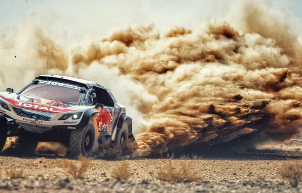 Sand, Auto, Dust, Sport, Machine, Speed, Stones, Race