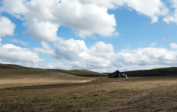 Field, the sky, the barn