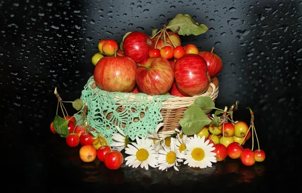 Picture nature, mood, apples, chamomile, beauty, basket, beautiful, beautiful
