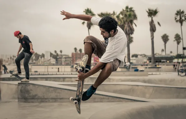 Picture palm trees, jump, skateboarding, skateboard, city, extreme sports, rainy, hang loose