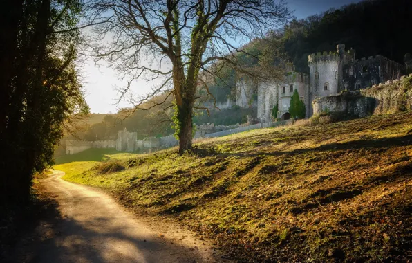 Road, morning, Wales, Abergele, Gwrych Castle